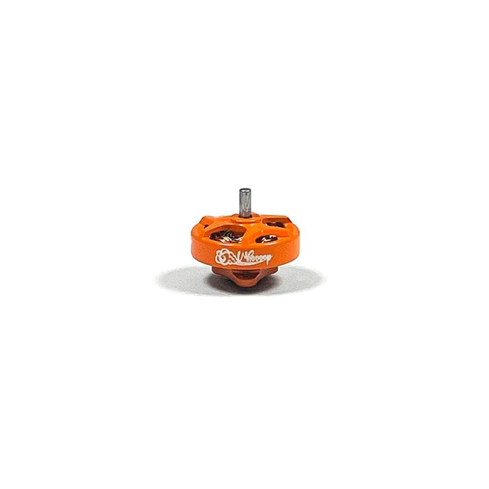 RCINPOWER GTS V3 1002 Motor 19000kv